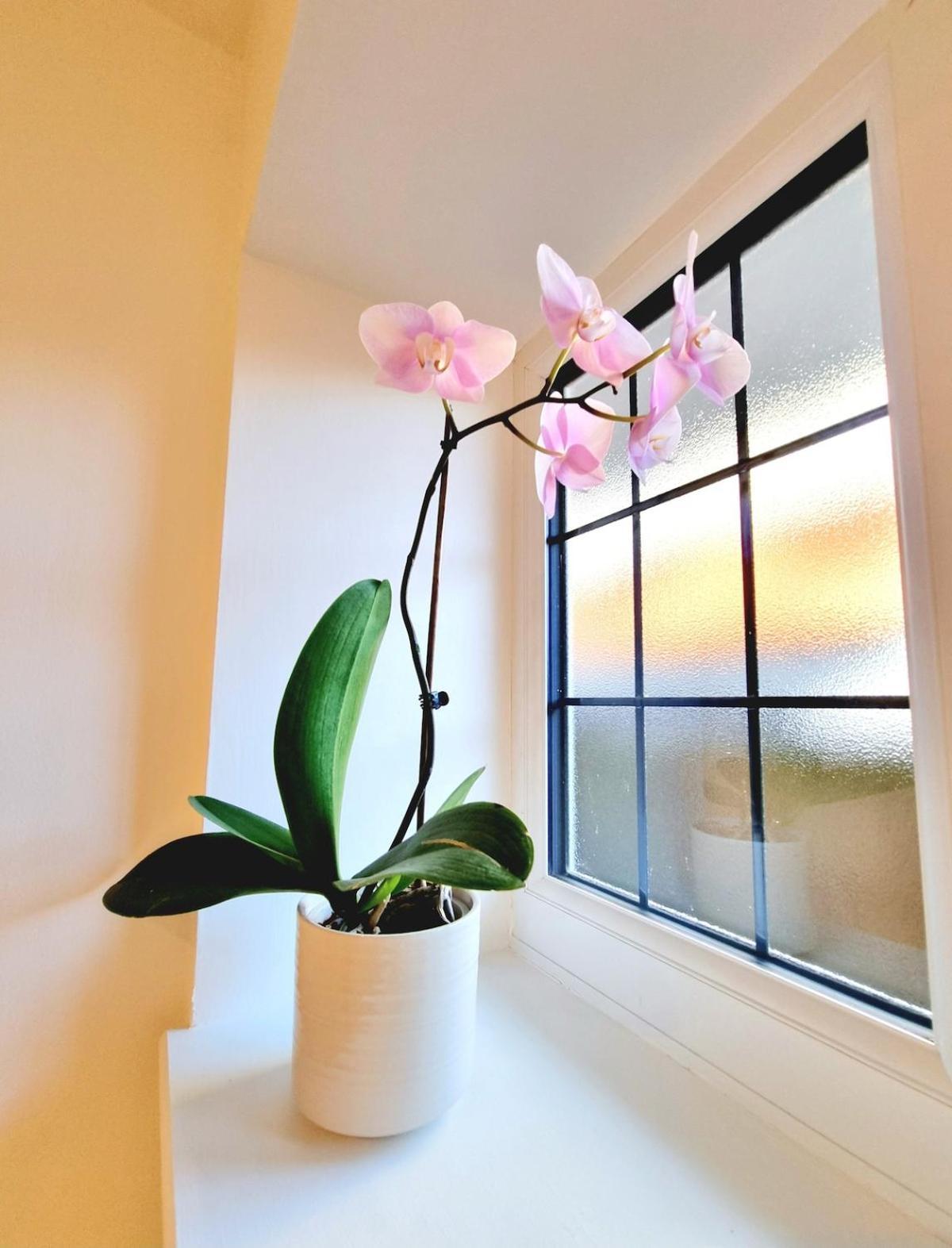 Private Self-Contained Place บอร์นมัธ ภายนอก รูปภาพ